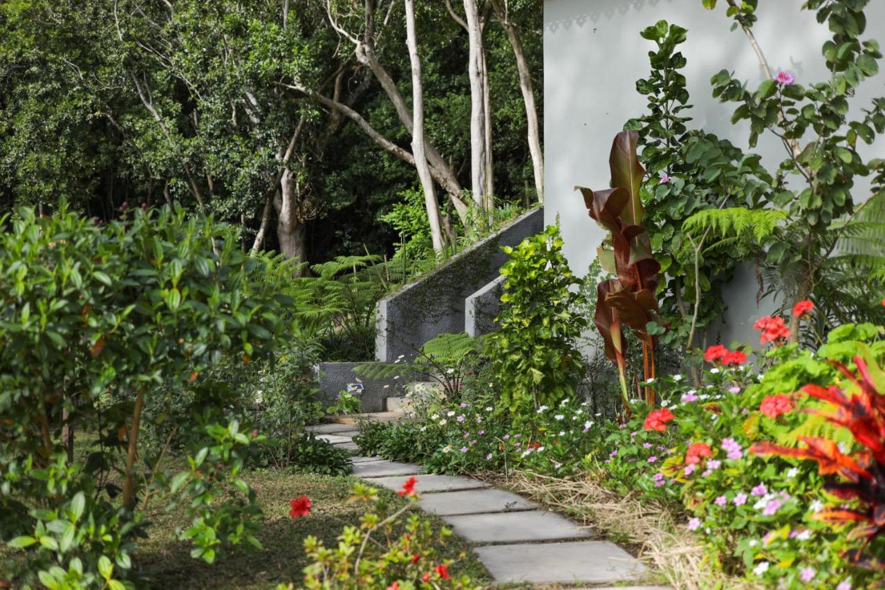 Green Cottage ชามาเรล ภายนอก รูปภาพ