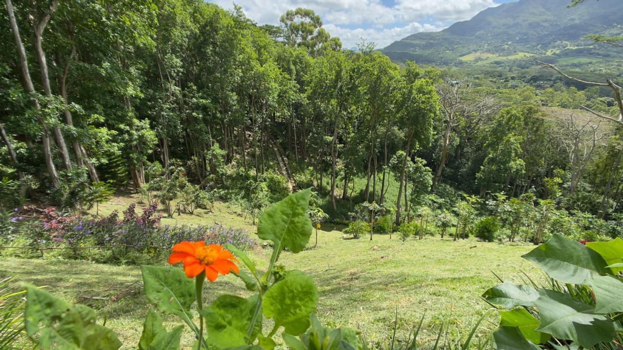 Green Cottage ชามาเรล ภายนอก รูปภาพ